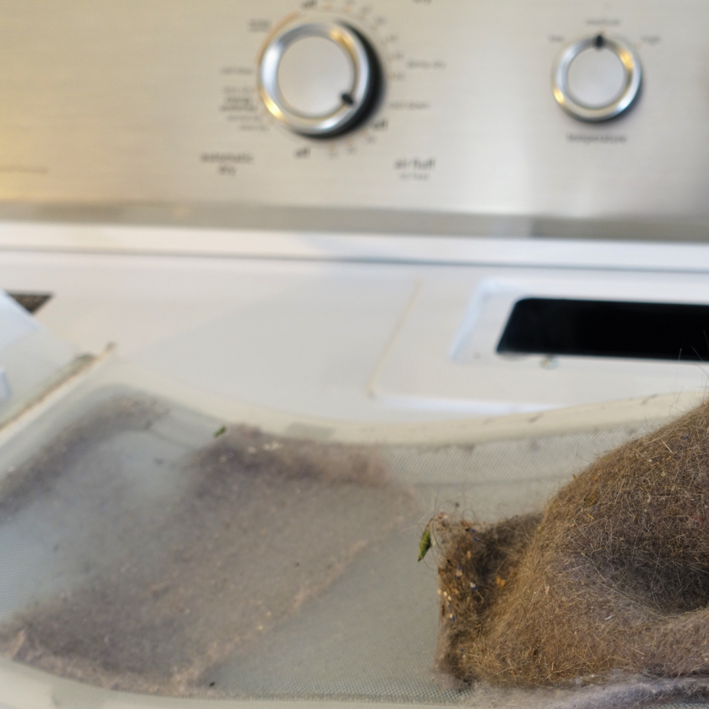 cleaning lint from a dryer lint trap as part of regular home maintenance to improve airflow and reduce fire risk.