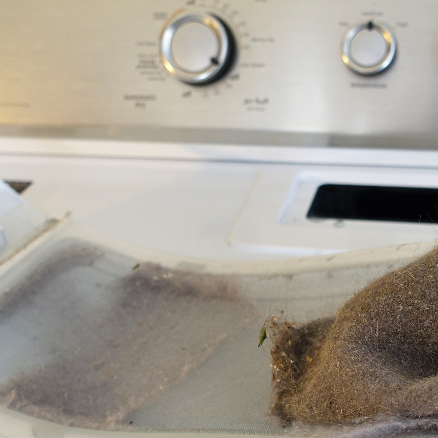 cleaning lint from a dryer lint trap as part of regular home maintenance to improve airflow and reduce fire risk.